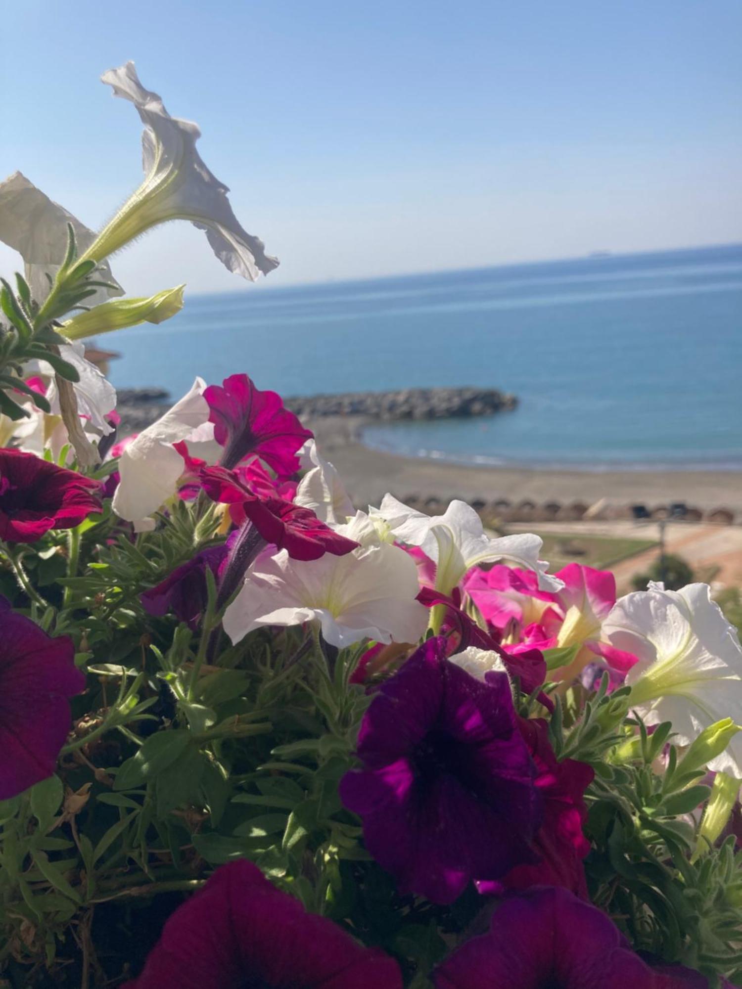 Viva La Nonna Appartement Salerno Buitenkant foto